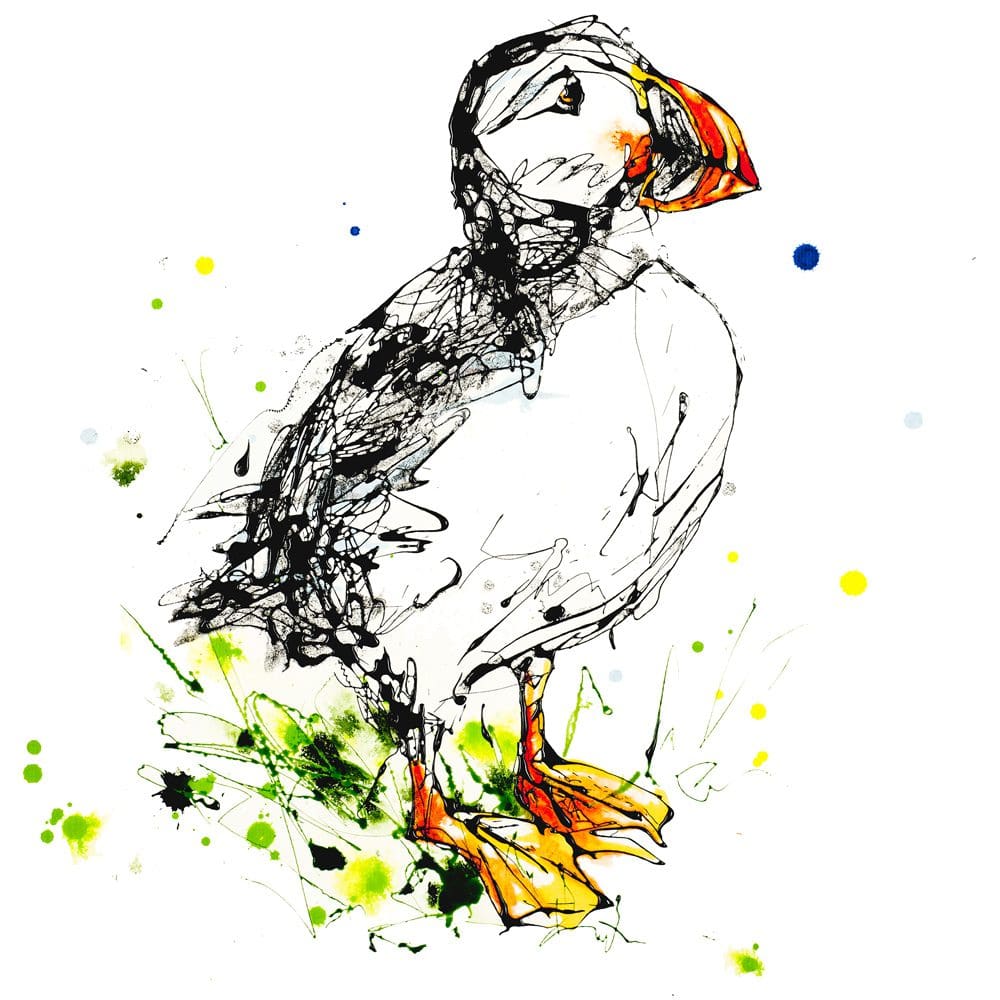 Atlantic Puffin - Kathryn Callaghan