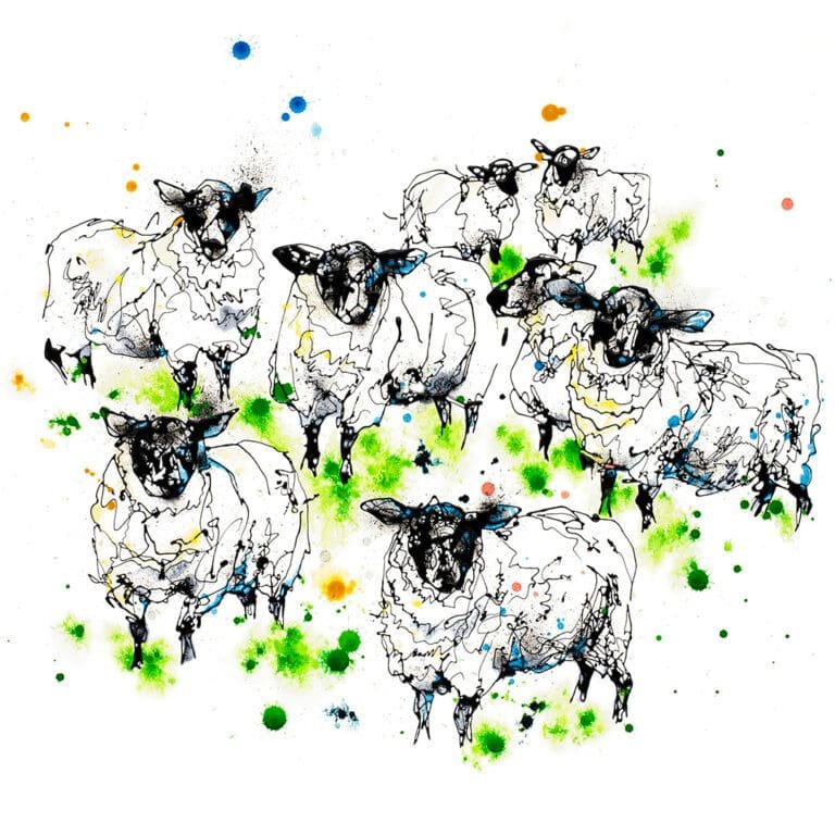 Baa (Sheep) - Kathryn Callaghan