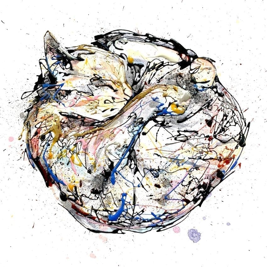 Catnap - Kathryn Callaghan
