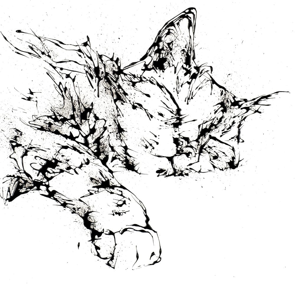 Dreamer (Cat) - Kathryn Callaghan