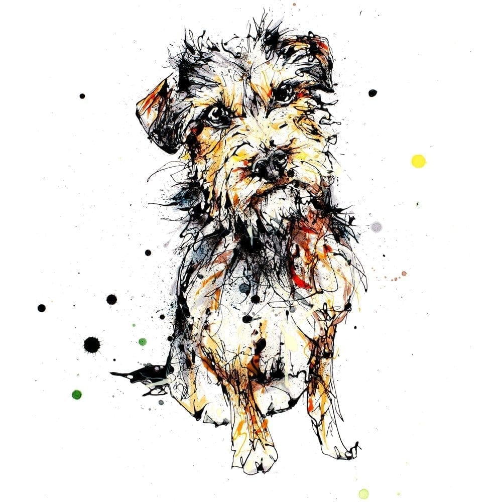 Expectation (Border Terrier) - Kathryn Callaghan
