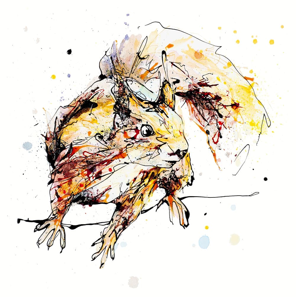 Get Set, Go (Red Squirrel) - Kathryn Callaghan