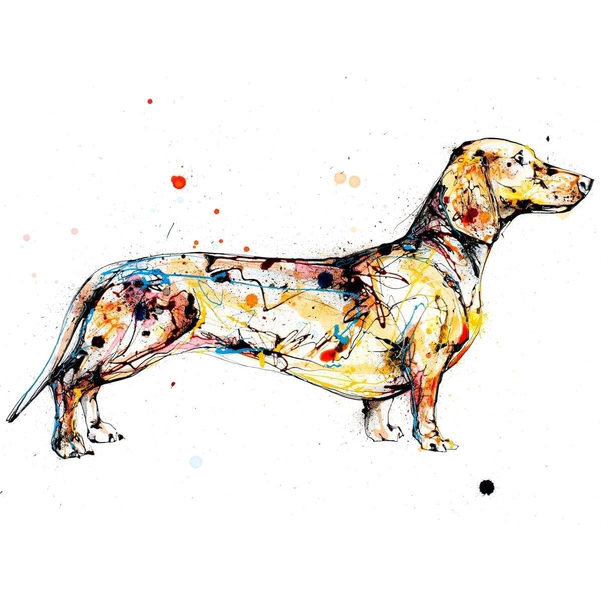 Hopeful (Daschund) - Kathryn Callaghan