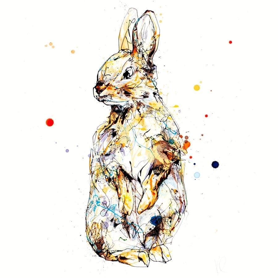 Pumpkin (Rabbit) - Kathryn Callaghan