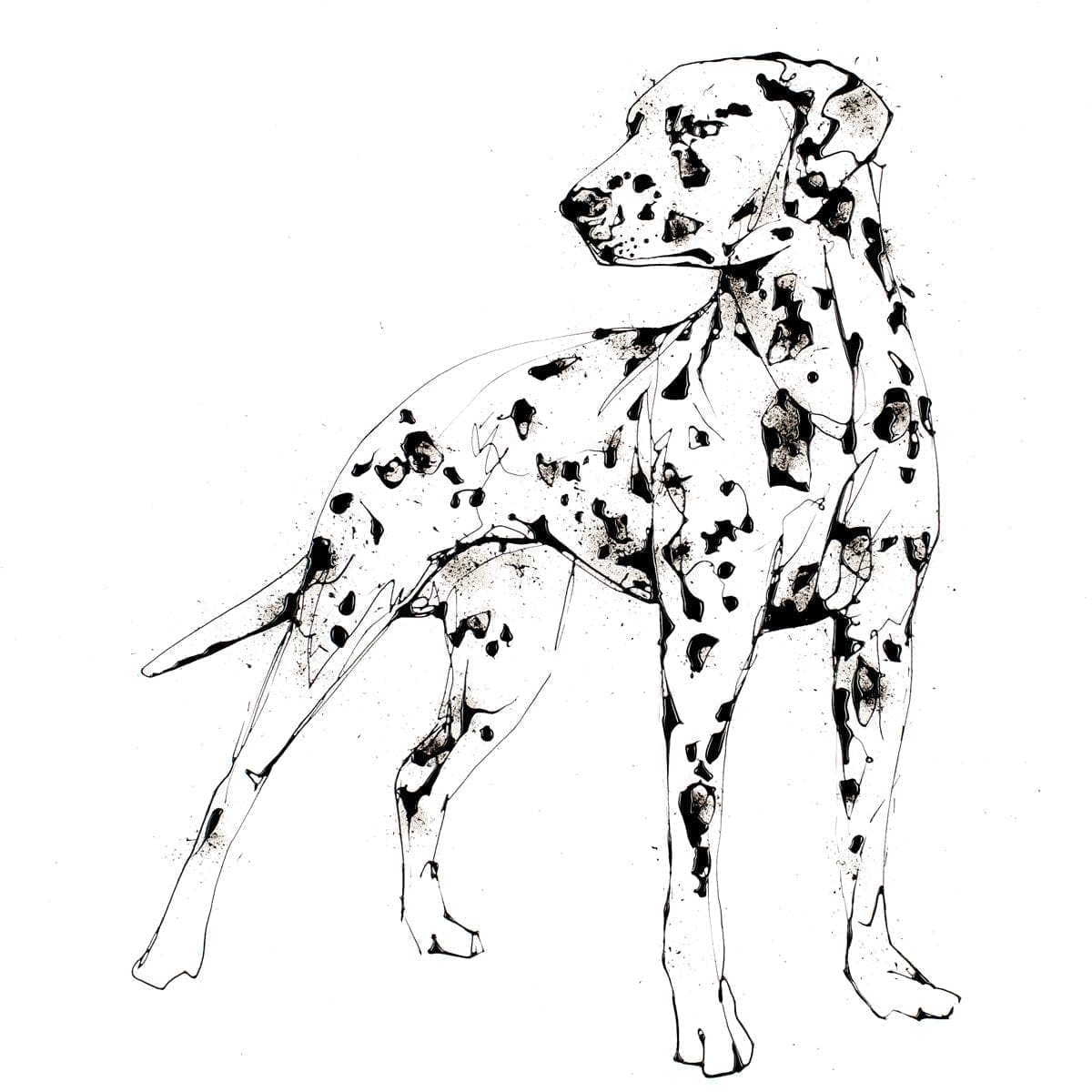 Spots (Dalmatian) - Kathryn Callaghan