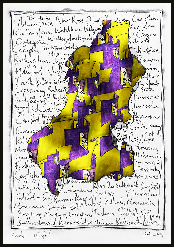 County Wexford - County Colours