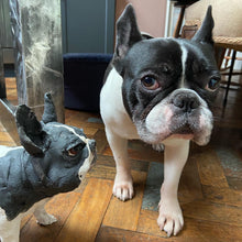 Load image into Gallery viewer, &#39;Frenchie&#39; - Handmade Ceramic Sculpture
