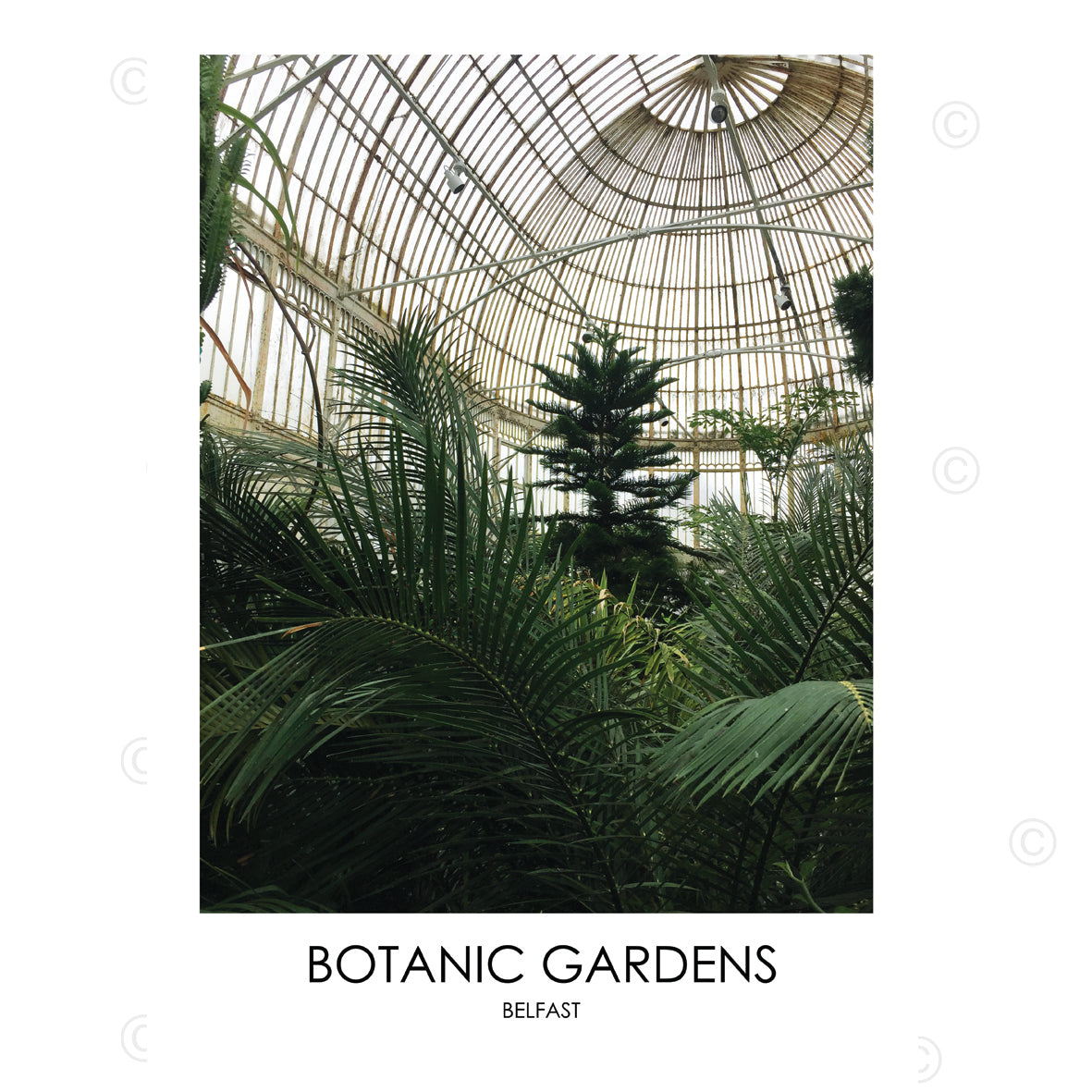 BOTANIC GARDENS BELFAST - Contemporary Photography Print from Northern Ireland