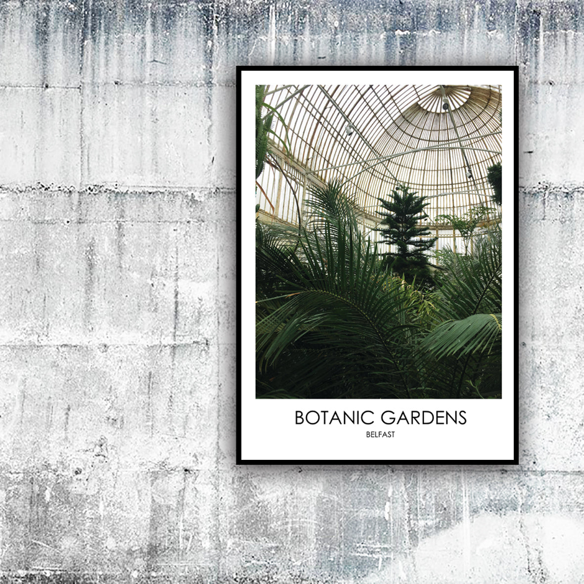 BOTANIC GARDENS BELFAST - Contemporary Photography Print from Northern Ireland