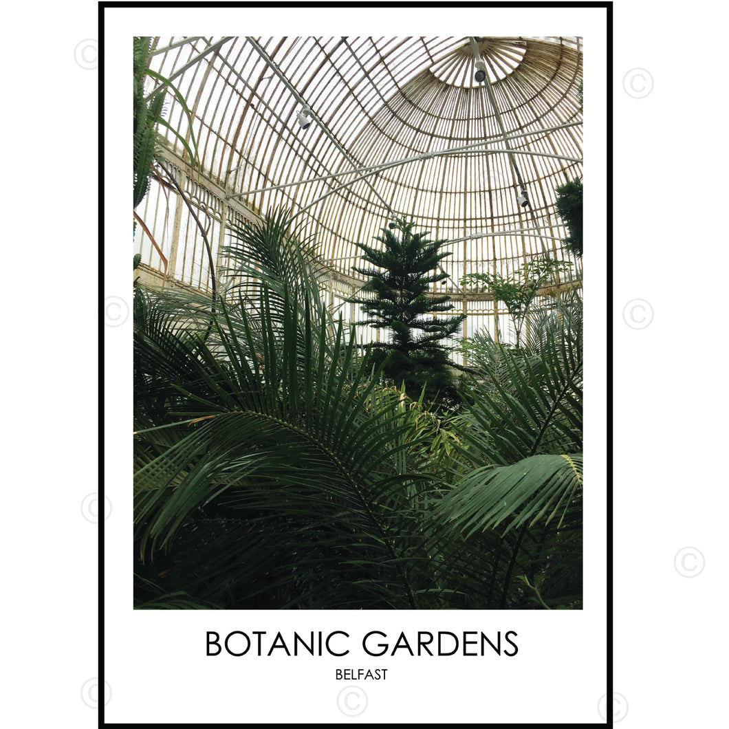 BOTANIC GARDENS BELFAST - Contemporary Photography Print from Northern Ireland