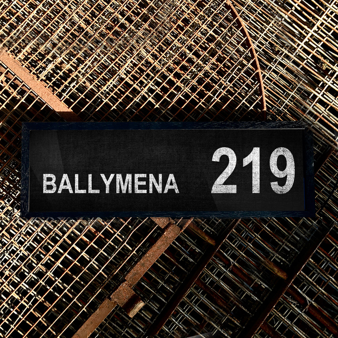 BALLYMENA 219