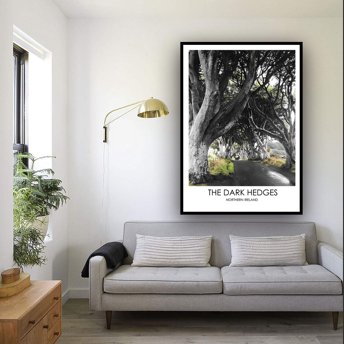 THE DARK HEDGES NORTHERN IRELAND - Contemporary Photography Print from Northern Ireland
