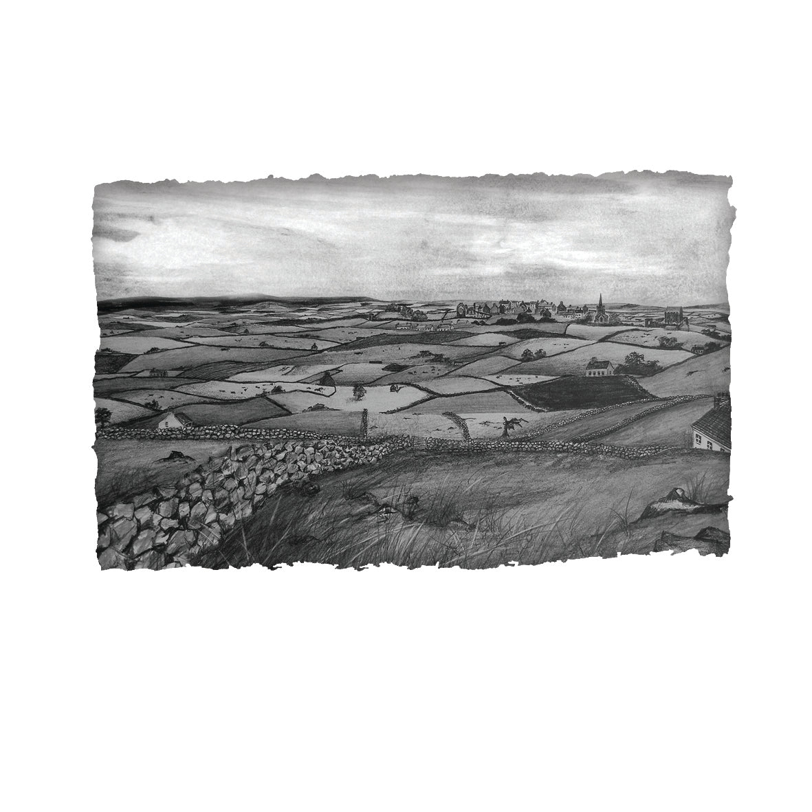 THE FIELDS OF ATHENRY - Iconic Irish Folk Ballad Low Lie County Galway by Stephen Farnan