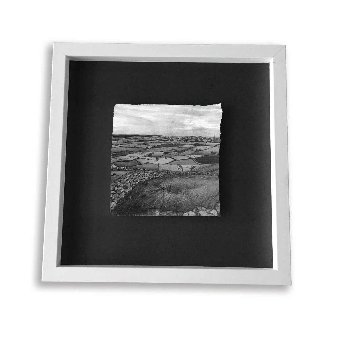 THE FIELDS OF ATHENRY - Iconic Irish Folk Ballad Low Lie County Galway by Stephen Farnan