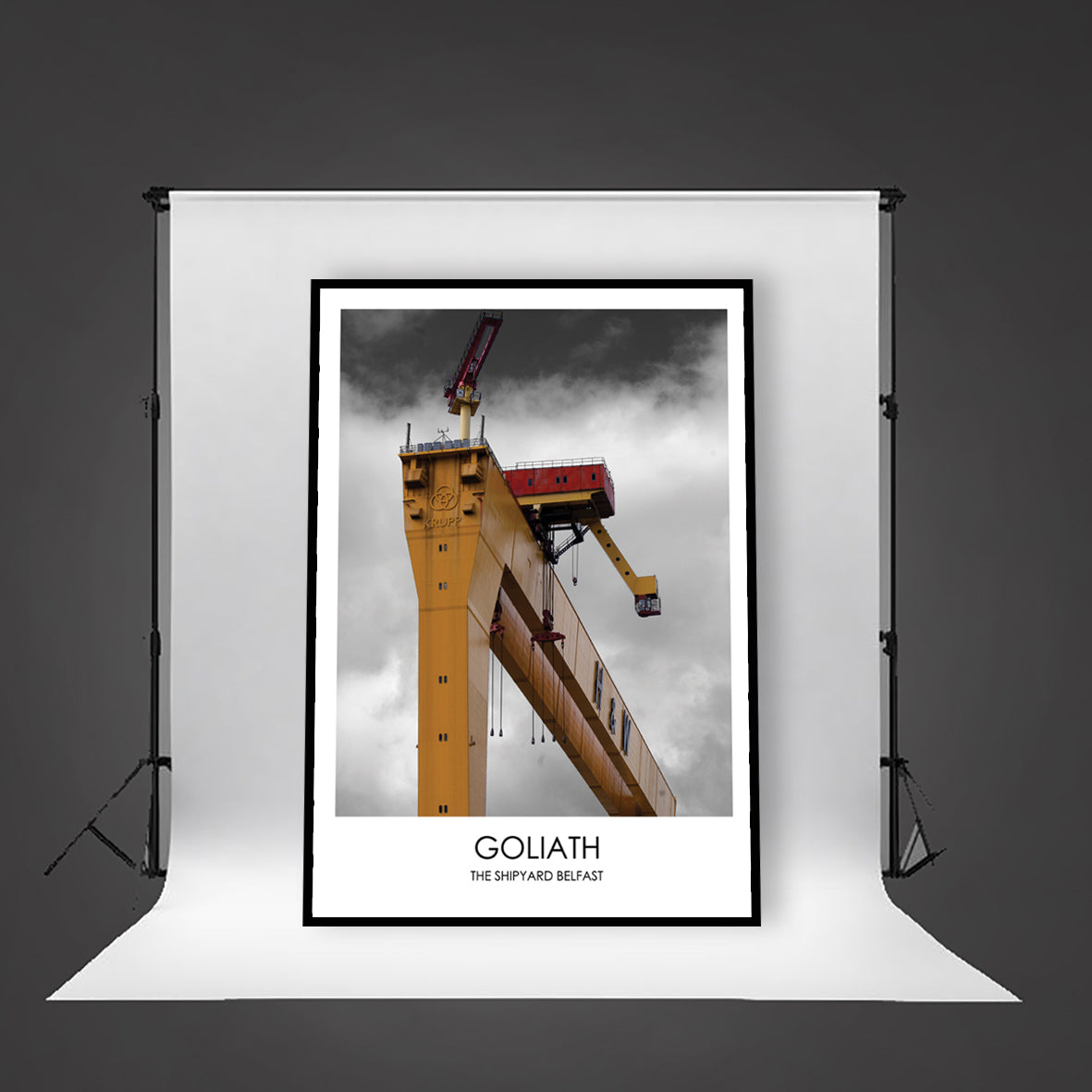 GOLIATH THE SHIPYARD BELFAST - Contemporary Photography Print from Northern Ireland