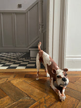 Load image into Gallery viewer, &#39;Play Time&#39; - Street Dog - Handmade Ceramic Sculpture
