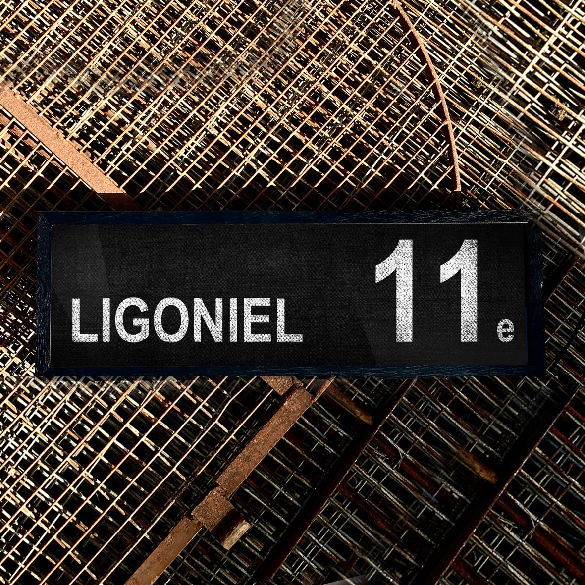 LIGONIEL 11e