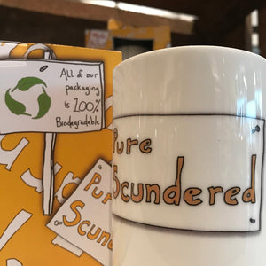 PURE SCUNDERED  - Belfast - Slang - humorous - bone - china - mug