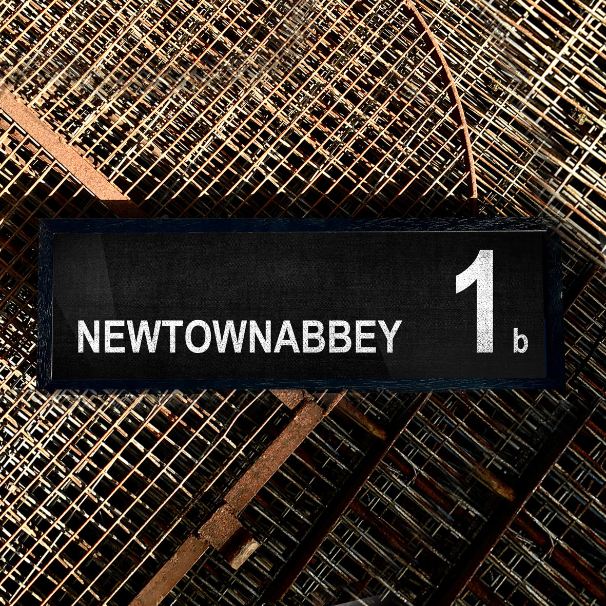 NEWTOWNABBEY 1b