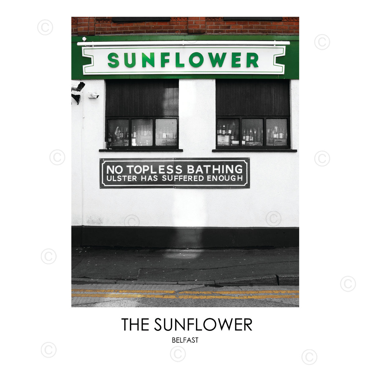 THE SUNFLOWER BELFAST - Contemporary Photography Print from Northern Ireland