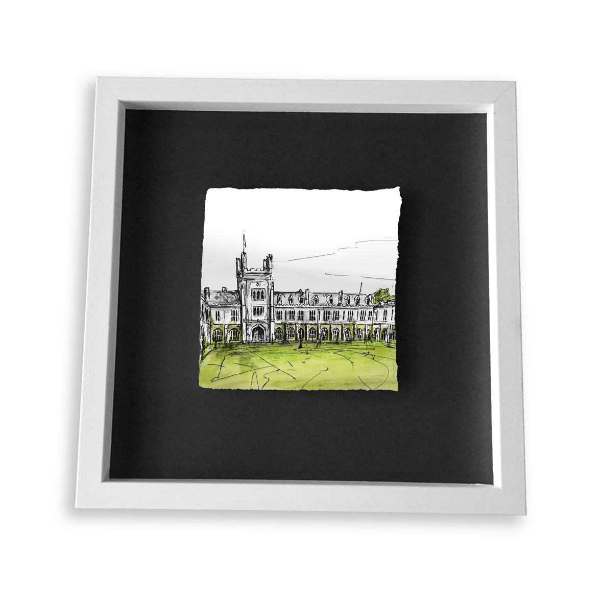 UNIVERSITY COLLEGE CORK