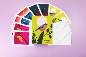 Cleite / Feather - Greeting Card Set