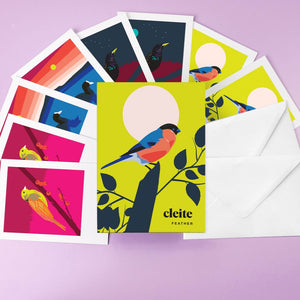 Cleite / Feather - Greeting Card Set