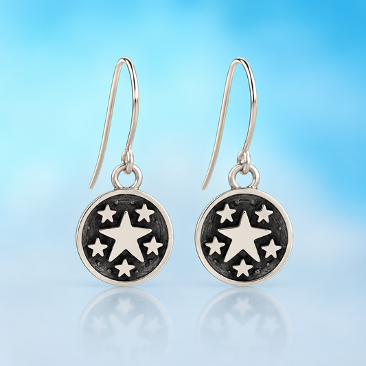 ONE IN A ZILLION EARRINGS (Silver)
