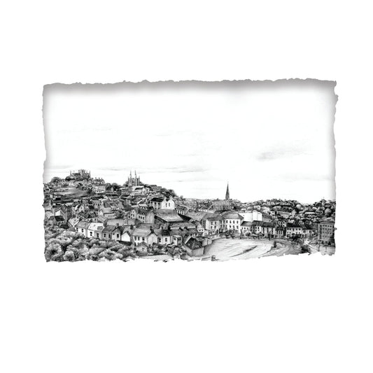 Armagh from the South