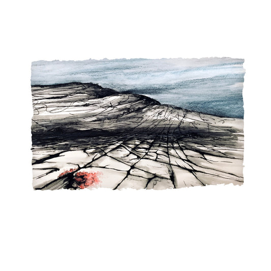 The Burren