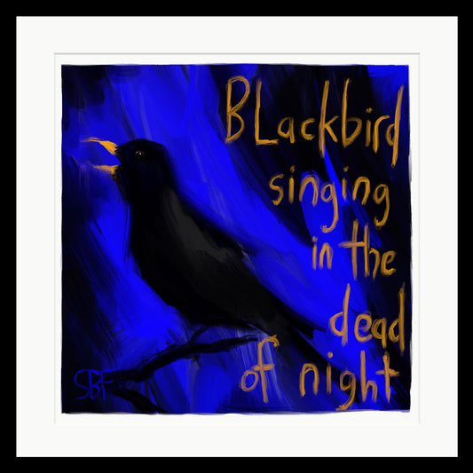 Blackbird Singing In The Dead Of Night