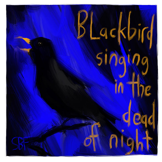 Blackbird Singing In The Dead Of Night – We Have it Wrapped UP