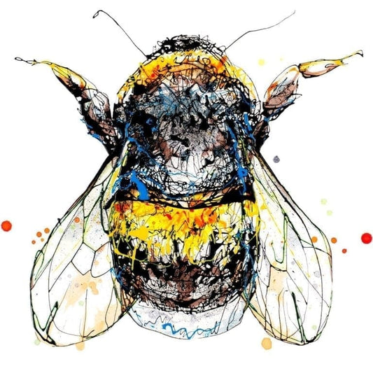 Buzz - Kathryn Callaghan