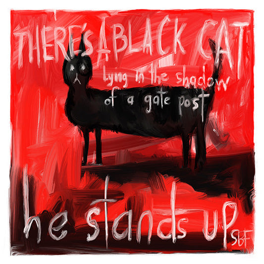 There's A Black Cat