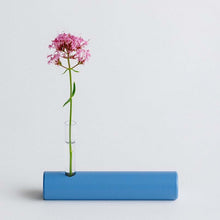 Load image into Gallery viewer, Wild Flower Vase - Blue
