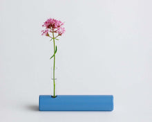 Load image into Gallery viewer, Wild Flower Vase - Blue
