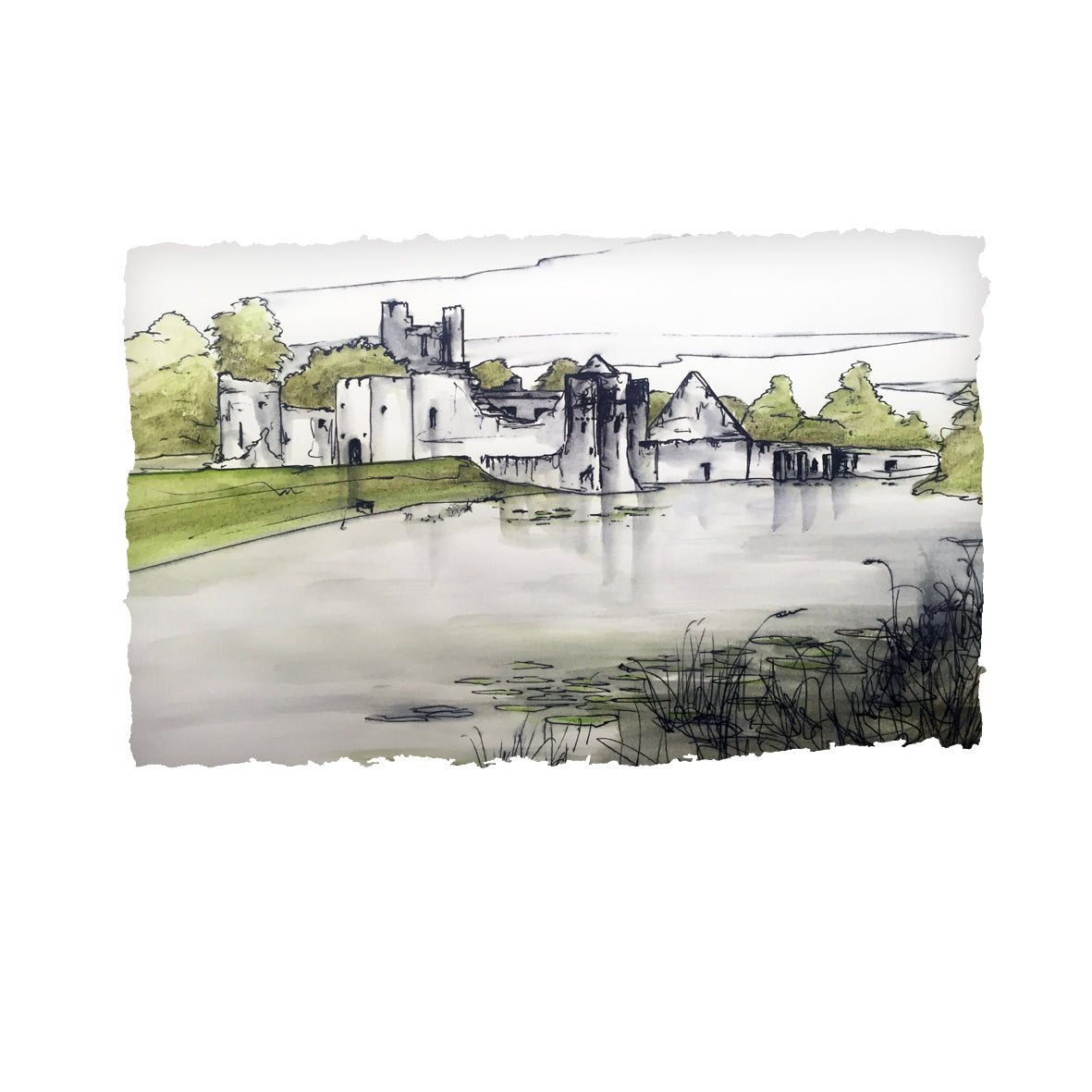 Desmond Castle