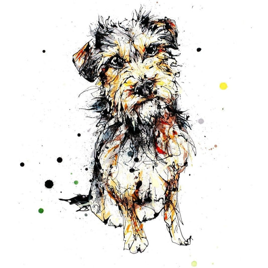 Expectation (Border Terrier) - Kathryn Callaghan