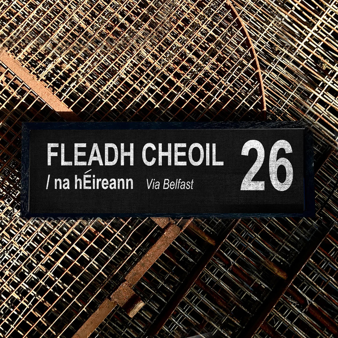 FLEADH CHEOIL Via Na hÉireann / Belfast 26