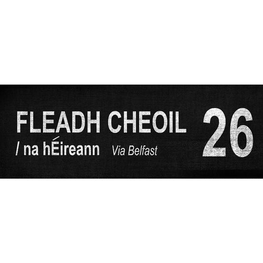 FLEADH CHEOIL / Na hÉireann via Belfast 26