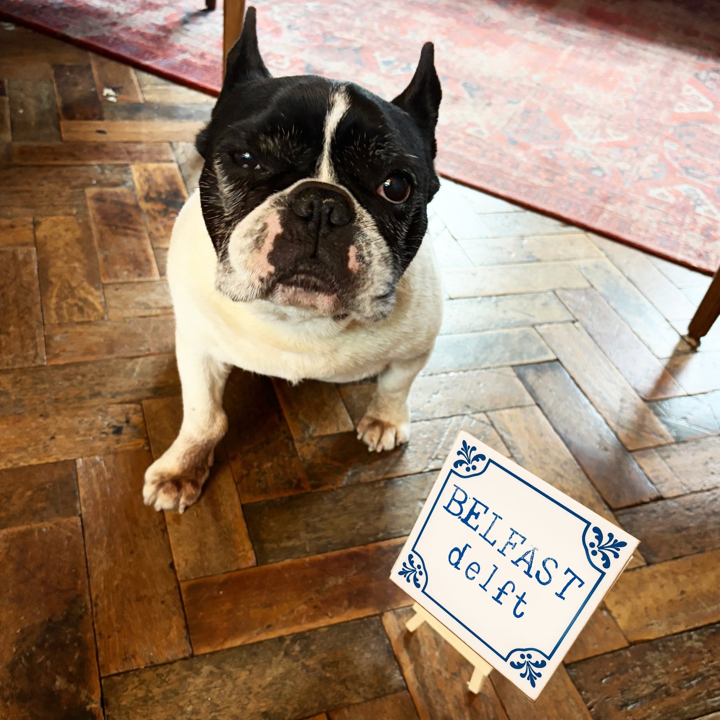 Friday Night On The UTV