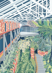 Inside The Tropical Ravine (Botanic Gardens, Belfast) - Deborah Hill Design