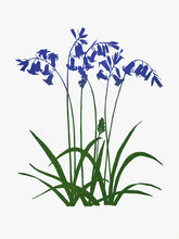 Load image into Gallery viewer, Tea Towel, Bluebells - Screenprinted Irish Linen
