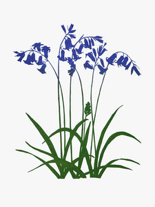 Tea Towel, Bluebells - Screenprinted Irish Linen