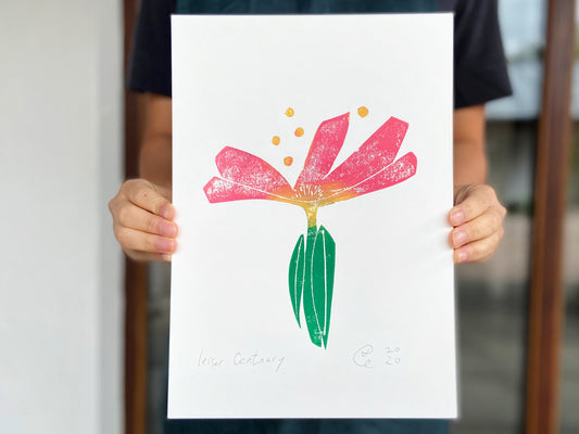 Lesser Centaury - The Pear in Paper