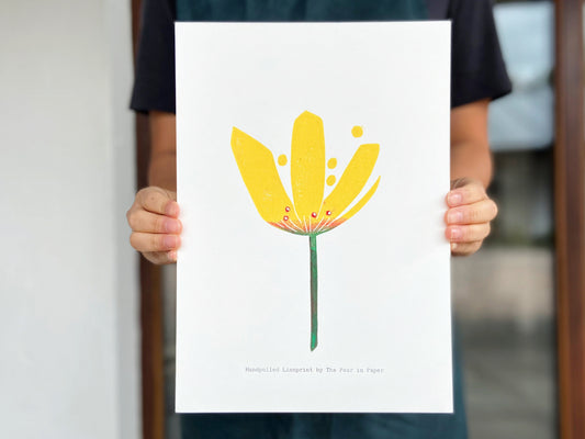 Marsh Saxifrage - The Pear in Paper
