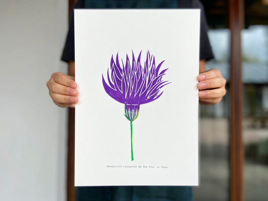 Meadow Thistle - The Pear in Paper
