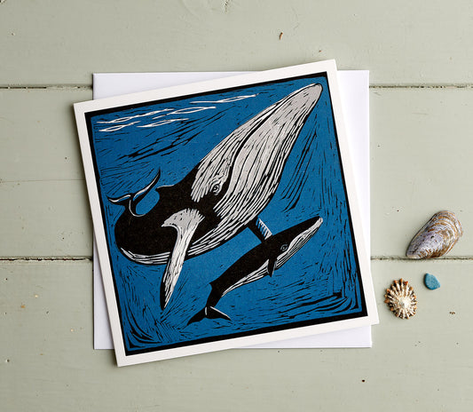 Minke Whale - Greeting Card
