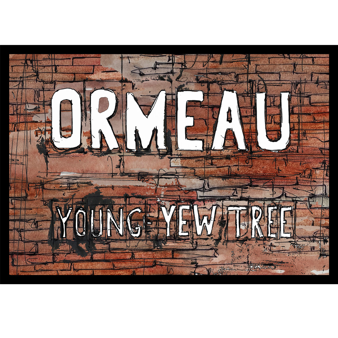 ORMEAU, Young-Yew-Tree