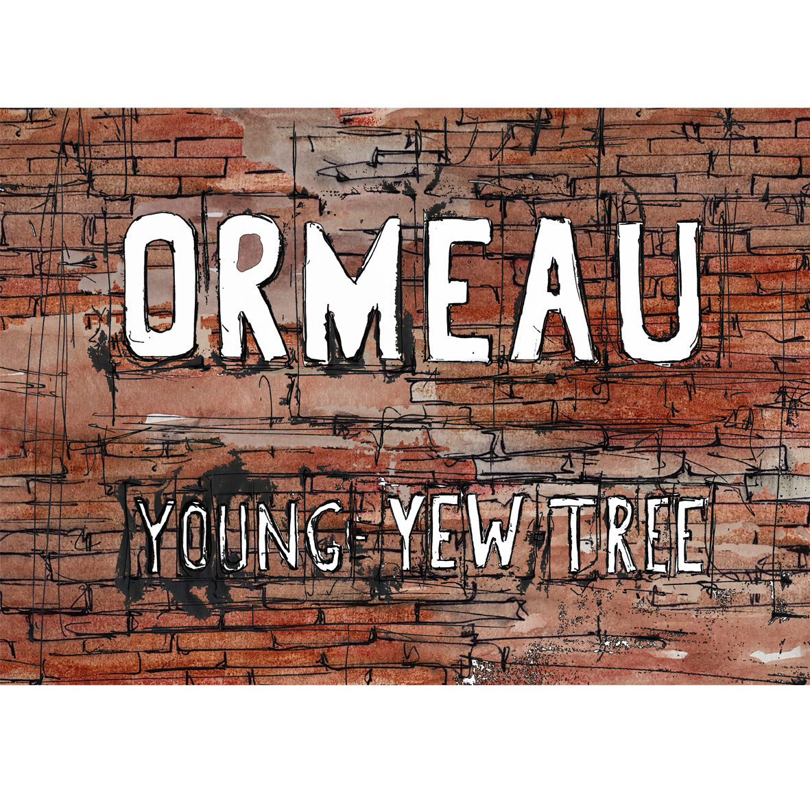 ORMEAU, Young-Yew-Tree